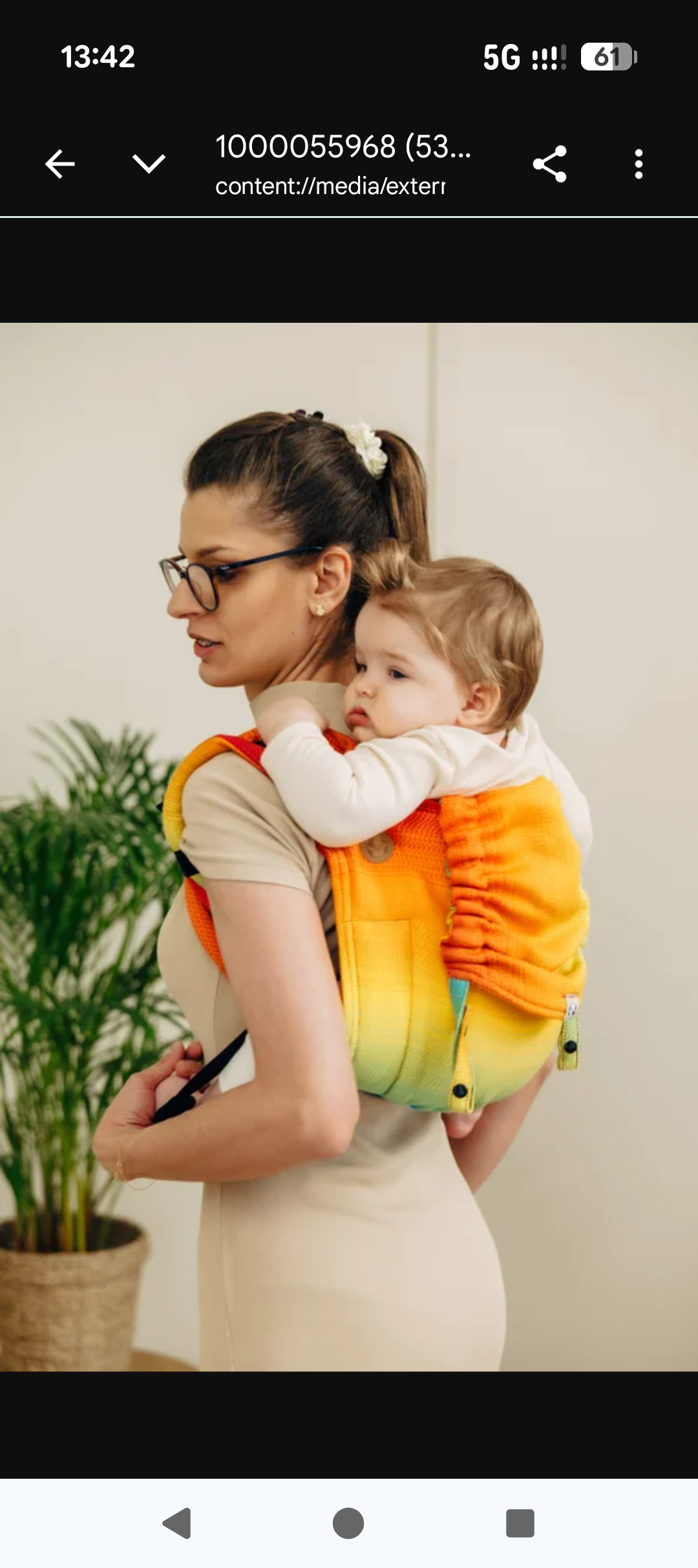 *Preorder* Lenny Lamb Onbuhimo PRO - Toddler